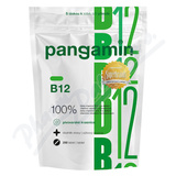 Pangamin B12 tbl. 200